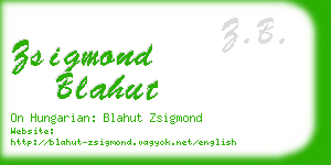 zsigmond blahut business card